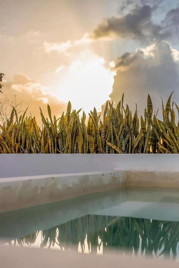 Penthouse Kuxtal Apartment Playa del Carmen